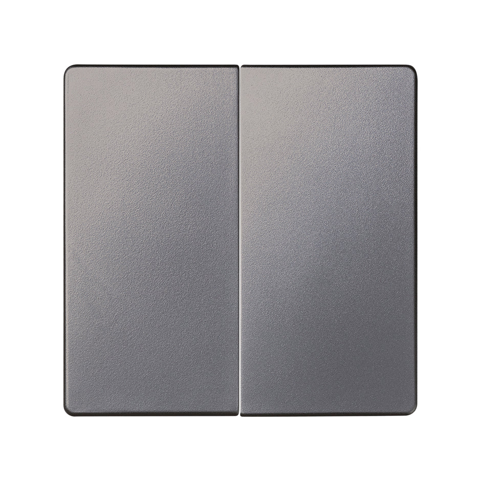 8202126-096 - Tecla doble para mecanismos doble titanio Simon 82 Concept