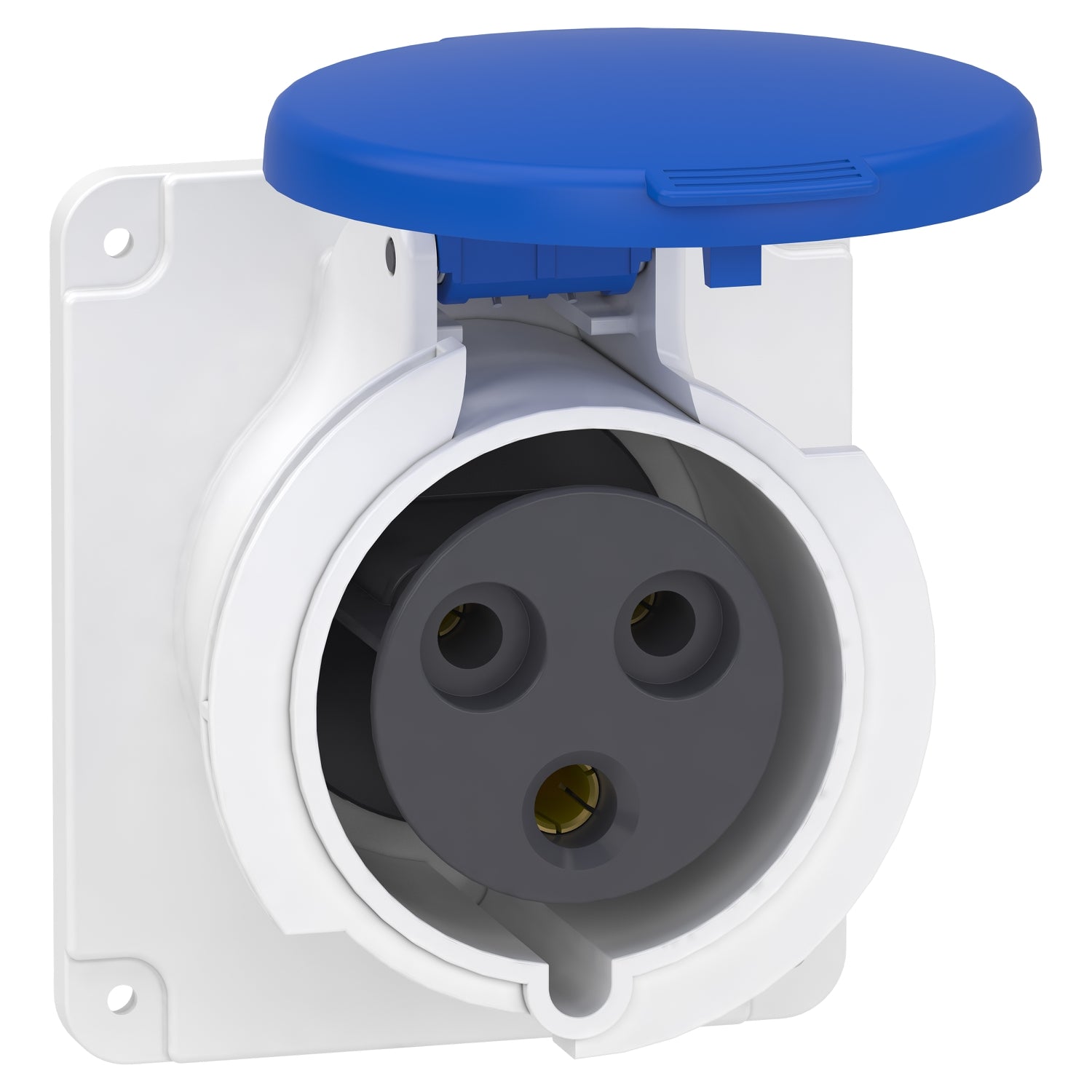 PKF32G423 - PratiKa socket - screw - straight - 32A - 2P + E - 200...250 V AC - panel Schneider