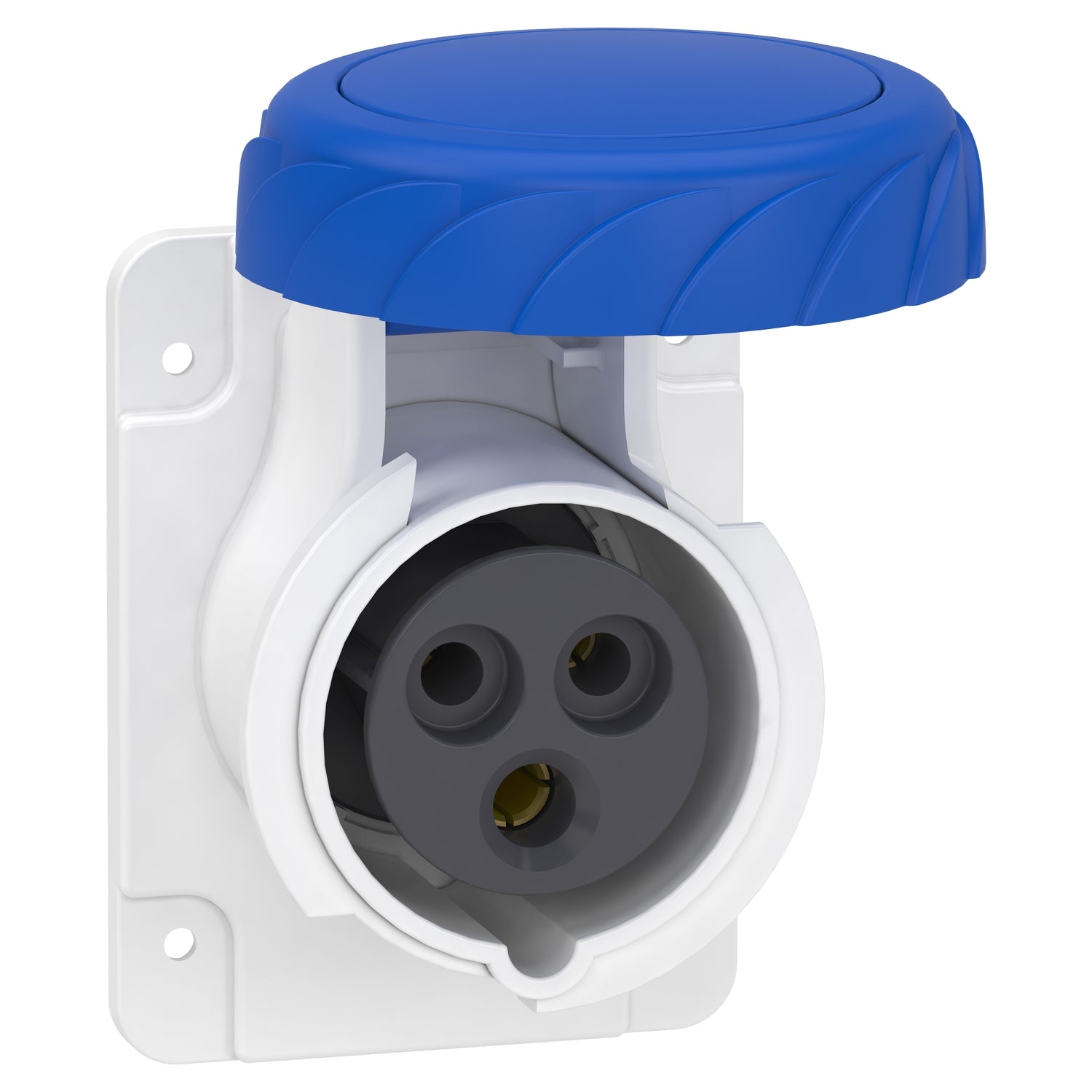 PKY16G723 - Clavija de panel recta PK Patrika conexión 16 A IP67 220 V 2P+T 50-60 Hz Schneider