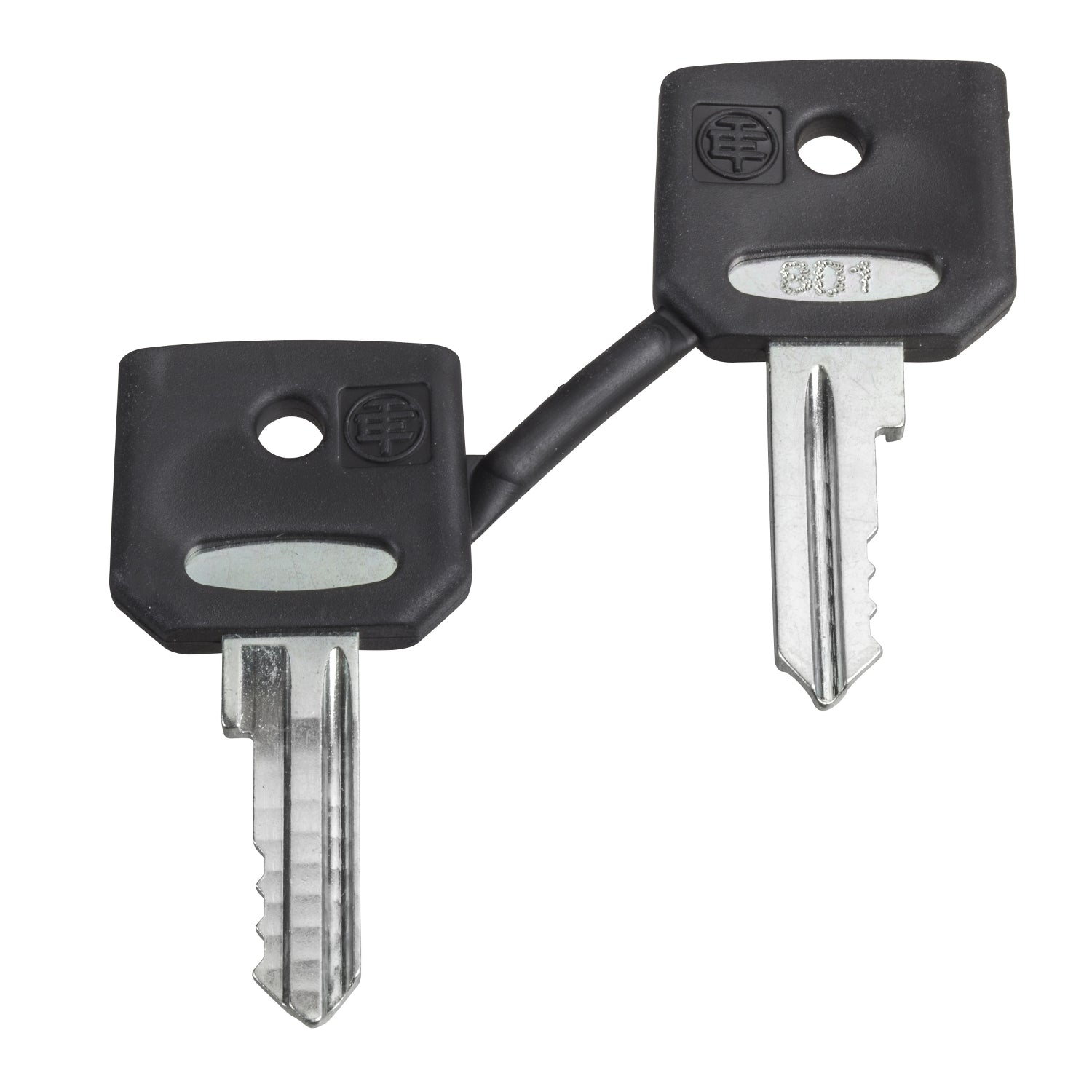 ZBG520E - Juego 2 llaves 458a Schneider