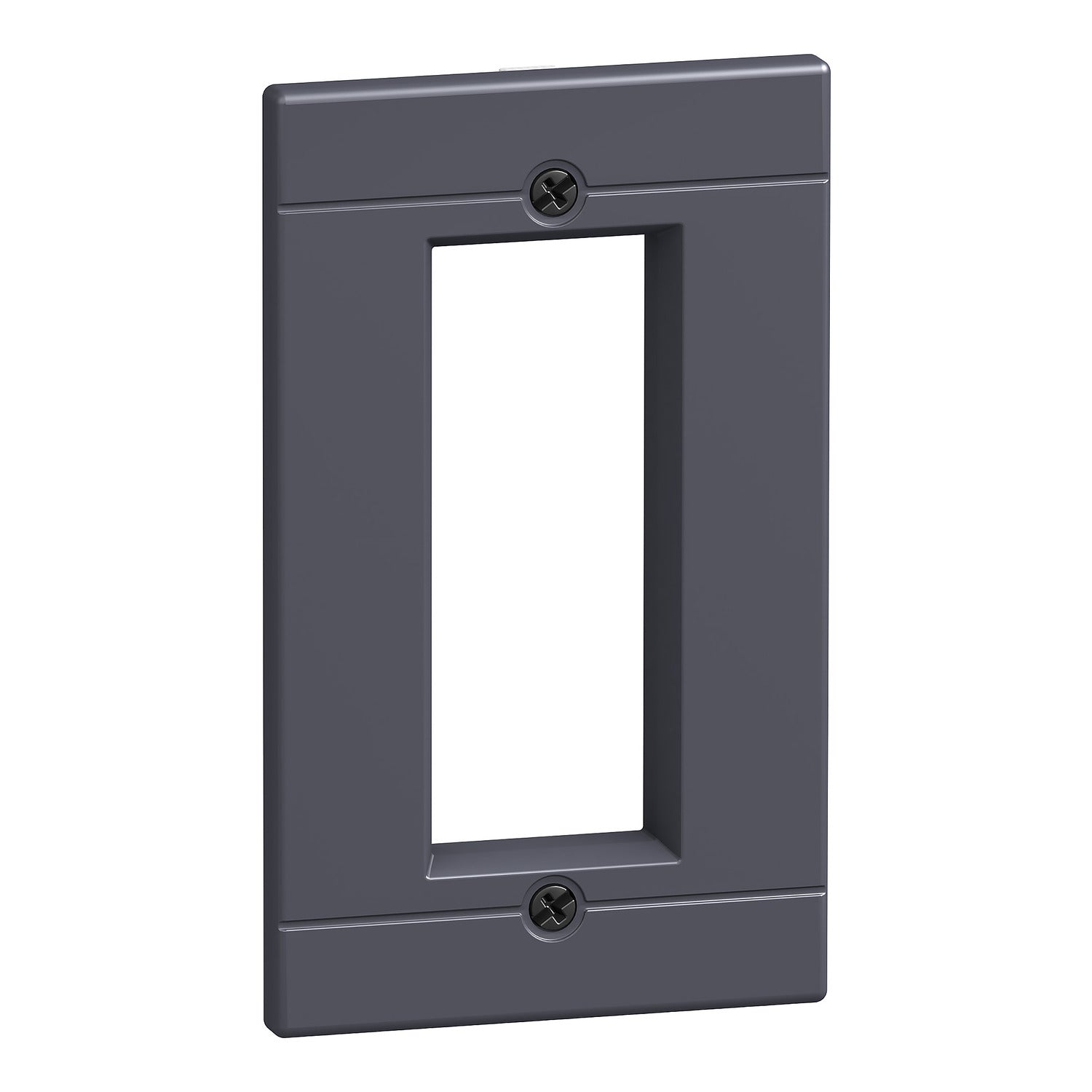 29315 - Moldura de puerta IP40 para NS100...250 Schneider