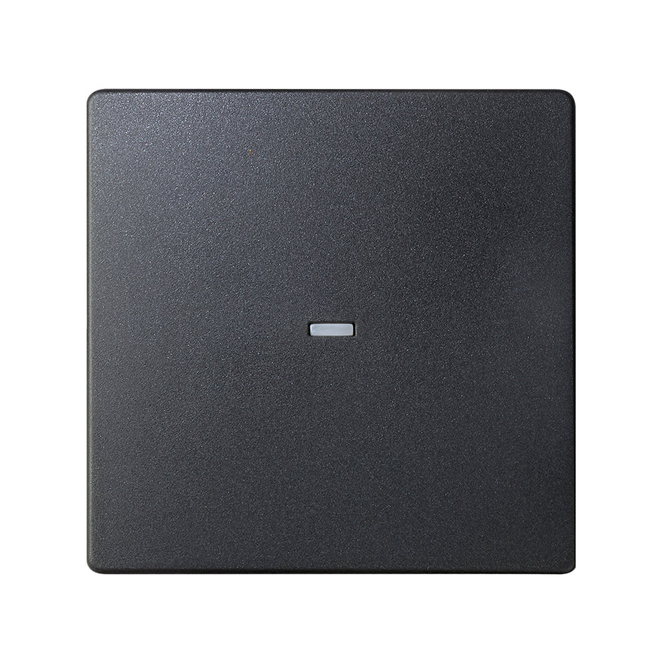 8200011-038 - Tecla individual con visor para mecanismos S.77 grafito Simon 82