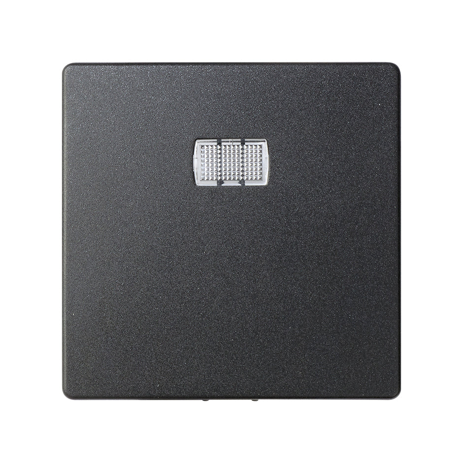 82013-38 - Tecla individual combinable con los visores 82972 y 82982 grafito Simon 82