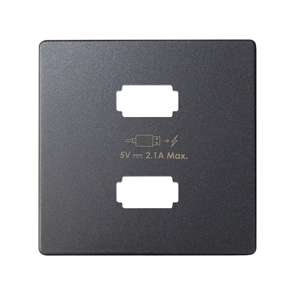 8221096-038 - Placa para cargador USB 2 conectores 5Vdc 2.1A tipo A grafito Simon 82