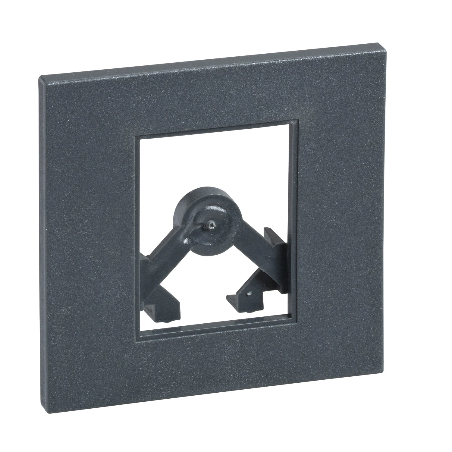 LV429527 - Moldura de puerta IP30 para bloque Vigi (NSX100/250) Schneider