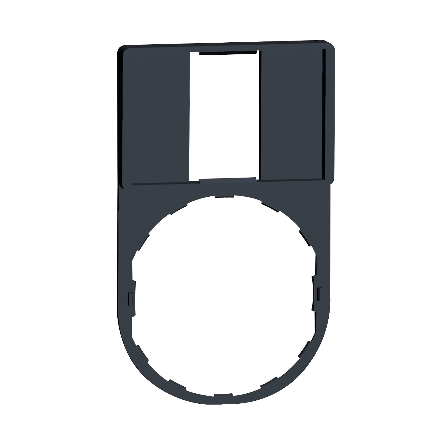 ZBZ33 - Porta etiquetas Harmony XB4 - 30x50mm. s etiqueta Schneider